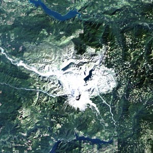 This image shows a natural color image of a large area with habitat destruction.