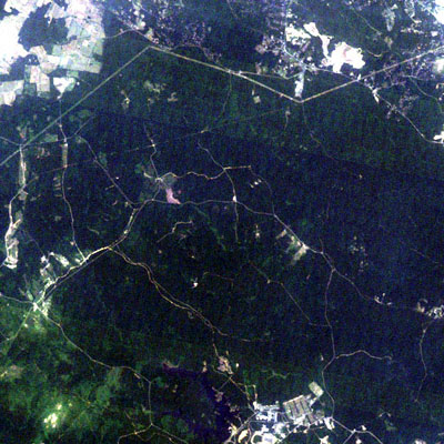 Natural color image showing a forest area. Green color.