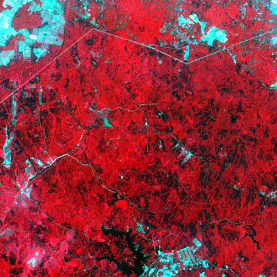 False color image showing a forest area. Red color.